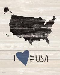 I Heart the USA | Obraz na stenu