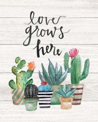 Love Grows Here | Obraz na stenu