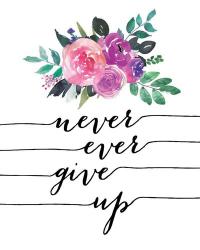 Never Give Up | Obraz na stenu