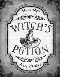Witch's Potion | Obraz na stenu