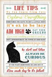 Life Tips - Cats | Obraz na stenu