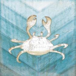 Coastal Crab | Obraz na stenu