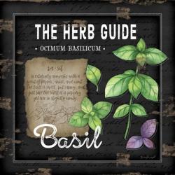 Herb Guide Basil | Obraz na stenu
