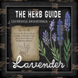 Herb Guide Lavender | Obraz na stenu