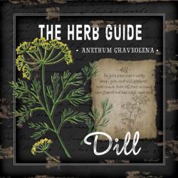 Herb Guide Dill | Obraz na stenu