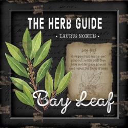 Herb Guide Bay Leaf | Obraz na stenu