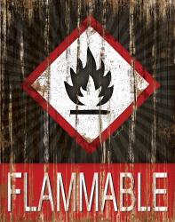 Flammable | Obraz na stenu