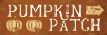 Pumpkin Patch | Obraz na stenu