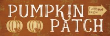 Pumpkin Patch | Obraz na stenu