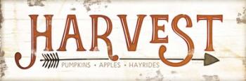 Harvest Fall | Obraz na stenu