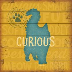 Curious Cat | Obraz na stenu