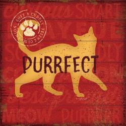 Purrrfect Cat | Obraz na stenu