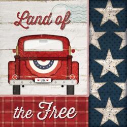 Land of the Free | Obraz na stenu