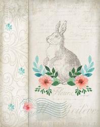 French Spring Rabbit | Obraz na stenu