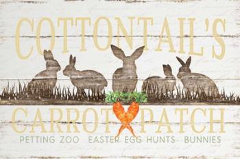 Cottontail's Carrot Patch | Obraz na stenu