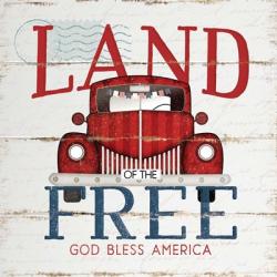 Land of the Free | Obraz na stenu