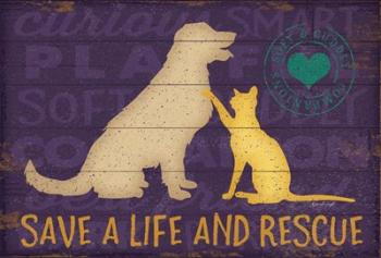Save a Life Rescue | Obraz na stenu