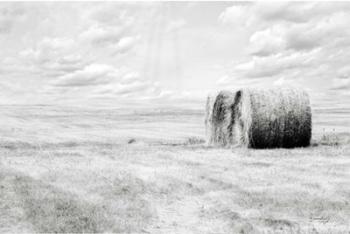 Hay Bales | Obraz na stenu