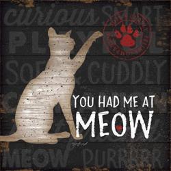 You Had Me at Meow | Obraz na stenu