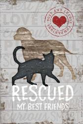 Rescued My Best Friend | Obraz na stenu