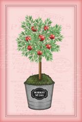 Apple Topiary - Pink | Obraz na stenu