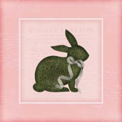 Bunny II - Pink | Obraz na stenu