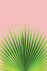 Pink Palm I | Obraz na stenu