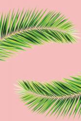 Pink Palm II | Obraz na stenu
