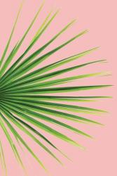 Pink Palm III | Obraz na stenu