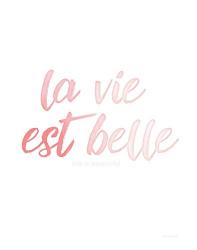La Vie Est Belle | Obraz na stenu