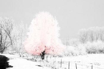 Pink Tree | Obraz na stenu
