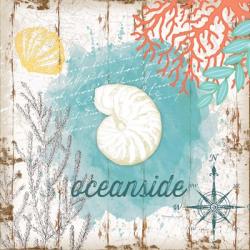 Oceanside | Obraz na stenu