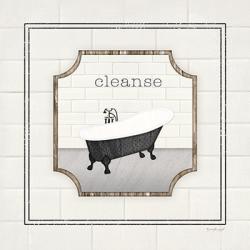 Bath Cleanse | Obraz na stenu