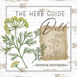 Herb Guide - Dill | Obraz na stenu