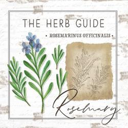 Herb Guide - Rosemary | Obraz na stenu