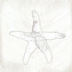 Coastal Starfish | Obraz na stenu