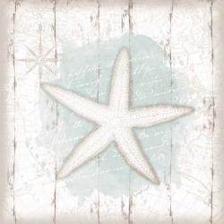 Calming Coastal Starfish | Obraz na stenu