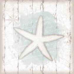 Calming Coastal Starfish | Obraz na stenu