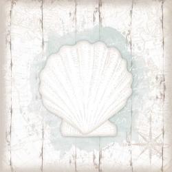 Calming Coastal Shell II | Obraz na stenu