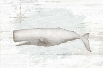 Calming Coastal Whale | Obraz na stenu