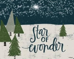 Starry Night | Obraz na stenu