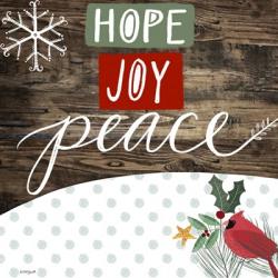 Hope Joy Peace | Obraz na stenu