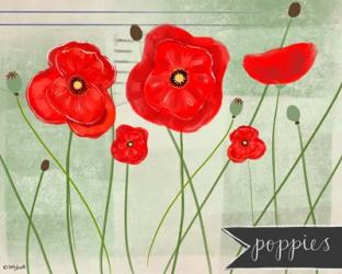 Poppies | Obraz na stenu