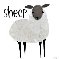 Sheep | Obraz na stenu