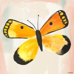 Butterfly IV | Obraz na stenu