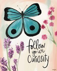 Follow Your Curiosity | Obraz na stenu