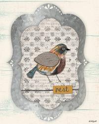 Shabby Bird | Obraz na stenu