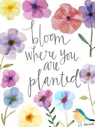 Bloom Where You Are Planted | Obraz na stenu