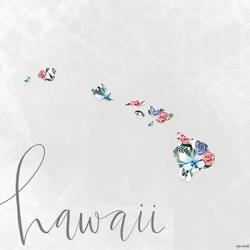Hawaii | Obraz na stenu