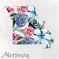 Missouri | Obraz na stenu